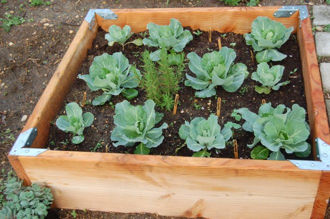 Raised bed vegetable planter